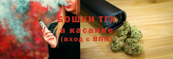 сатива Беломорск