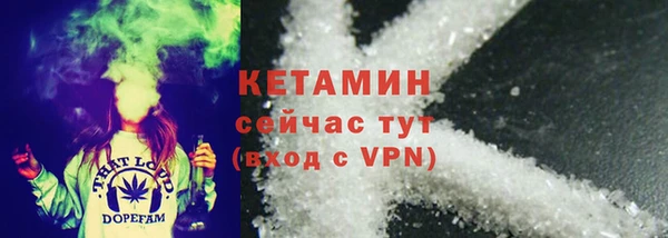 трава Белокуриха