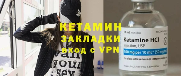 сатива Беломорск