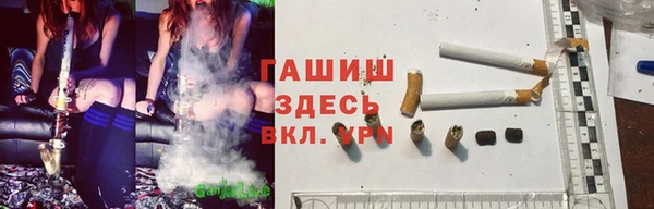 трава Белокуриха