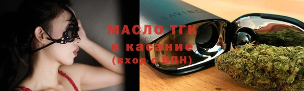 сатива Беломорск