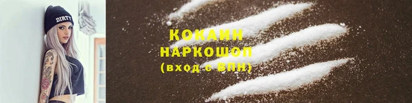 сатива Беломорск