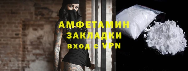 сатива Беломорск