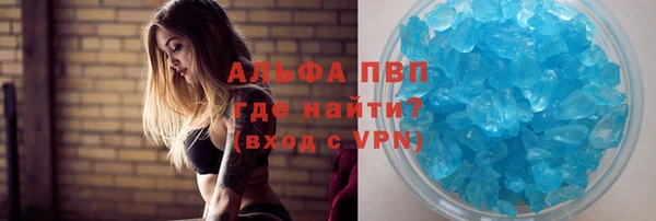 трава Белокуриха