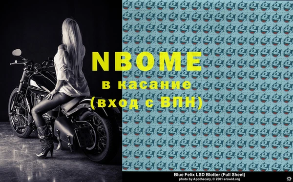 трава Белокуриха