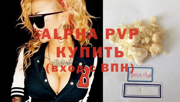сатива Беломорск