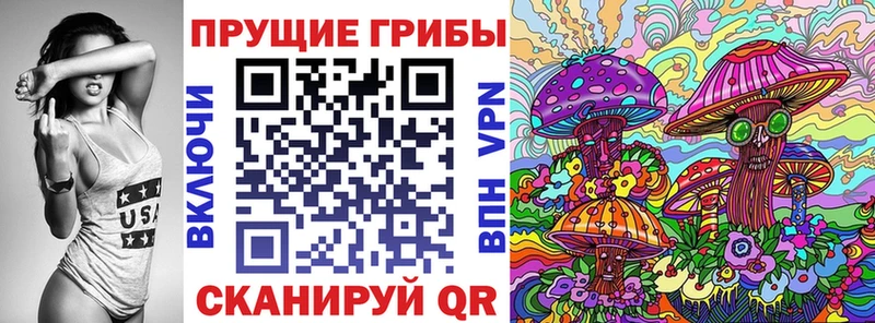 как найти наркотики  Унеча  Галлюциногенные грибы Psilocybine cubensis 