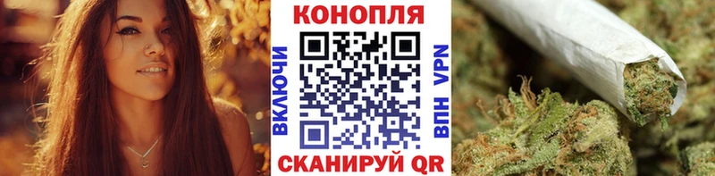 Конопля гибрид  Унеча 